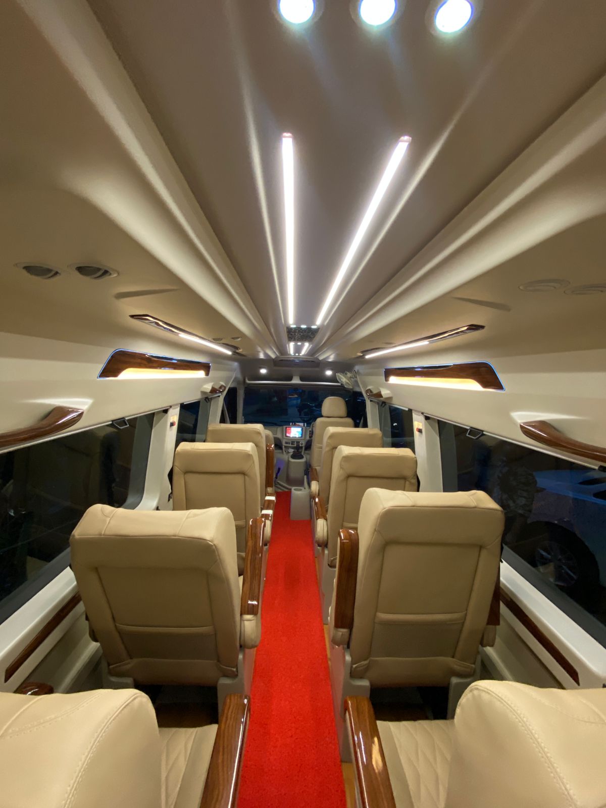 Ambient ceiling lights inside a group travel vehicle