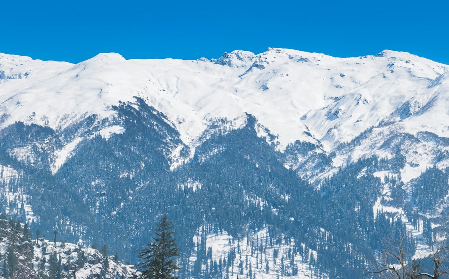 Delhi To Manali Taxi