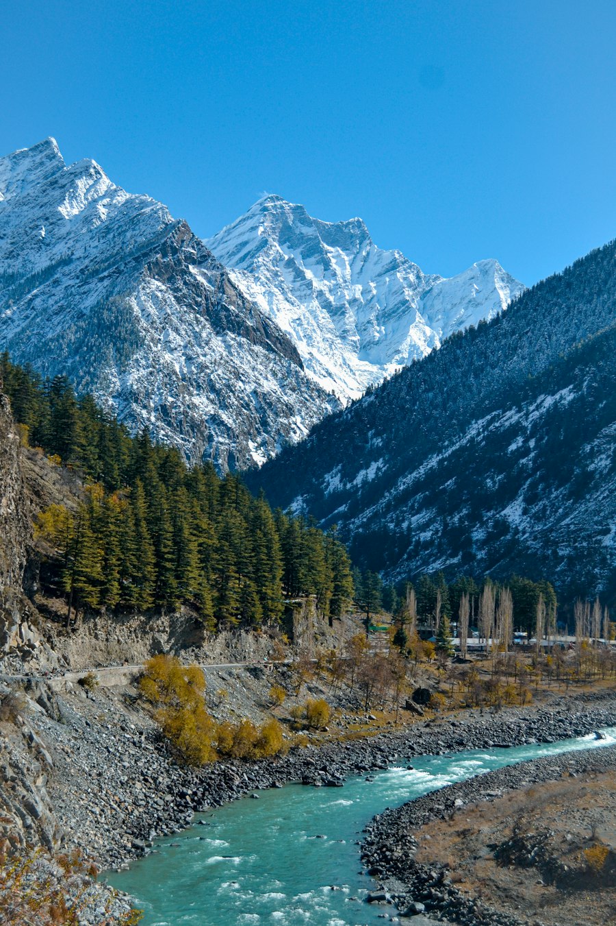Chandigarh To Manali Taxi