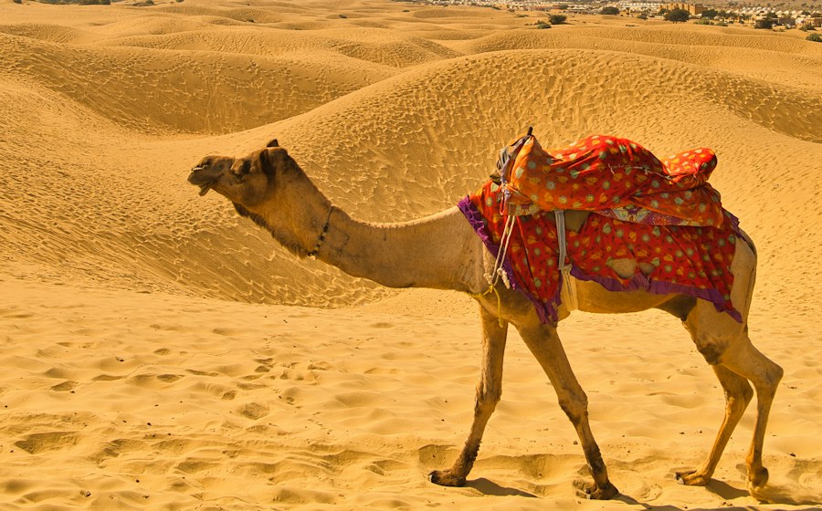 Taxi Hire For Rajasthan Heritage Tour
